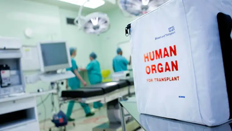 transplantacije