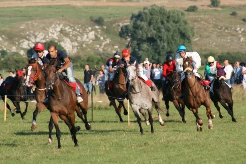 NEVESINJSKA OLIMPIJADA