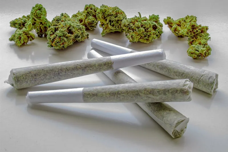 Roll-a-Joint-Like-the-Experts