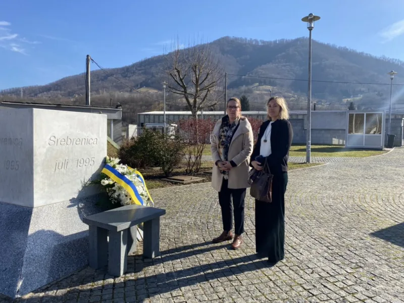 ambasadorica svedske