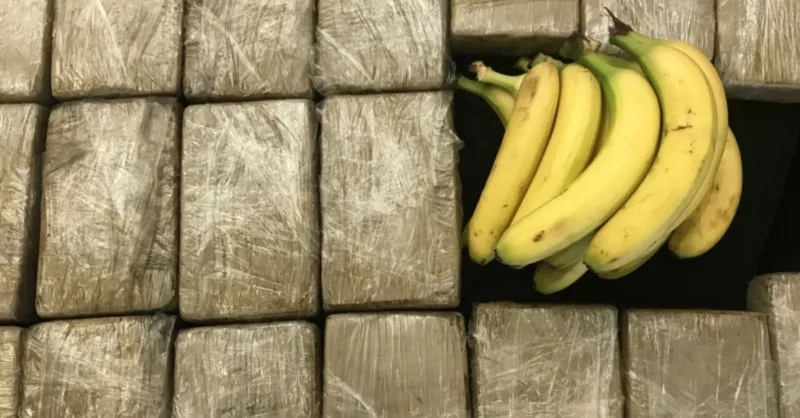 kokain u bananama