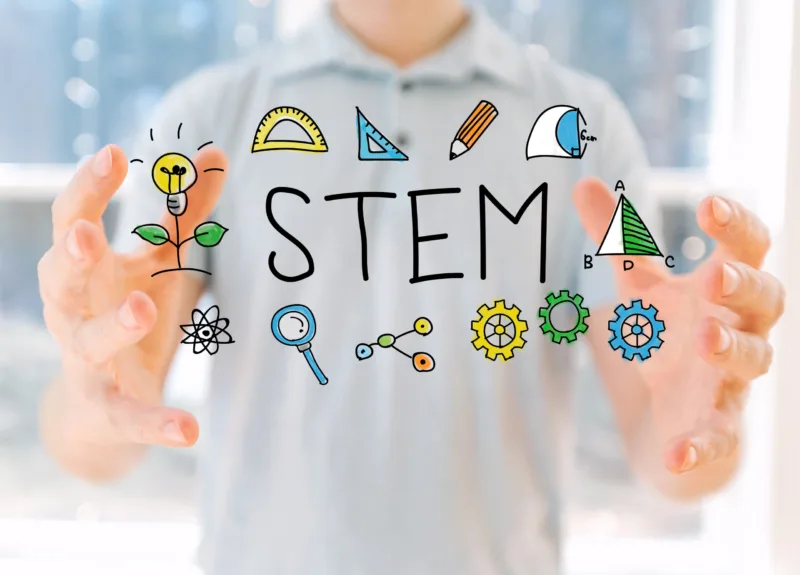 stem
