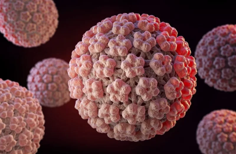 hpv virus