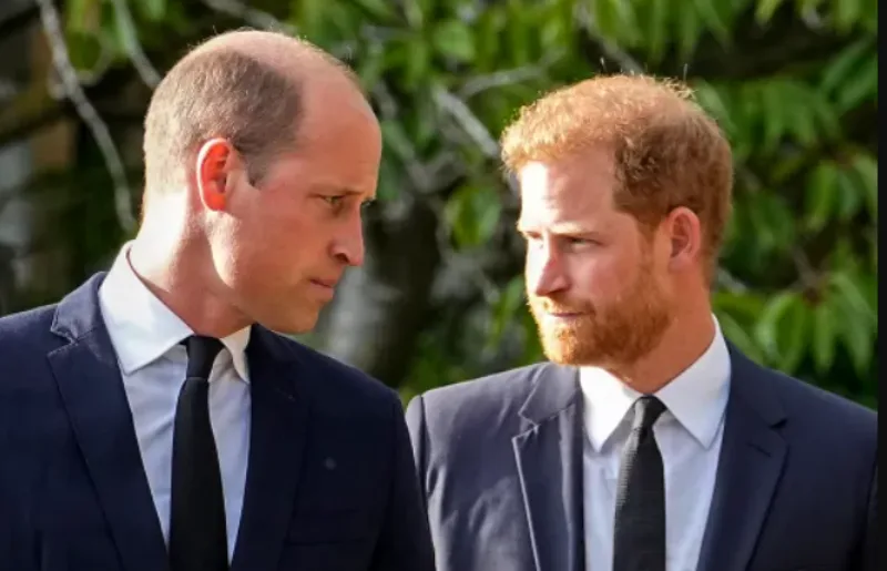 Harry i william1