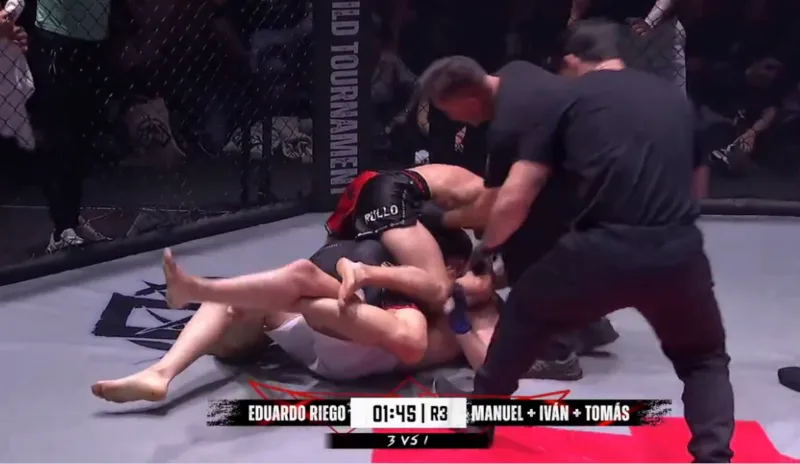borba mma