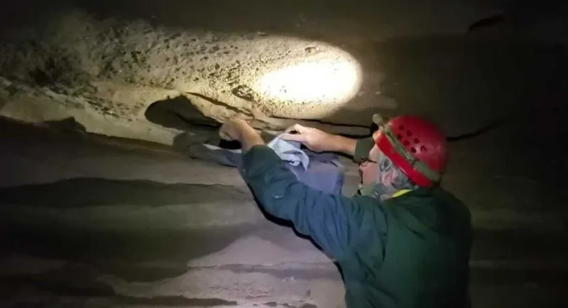 naučno otkriće