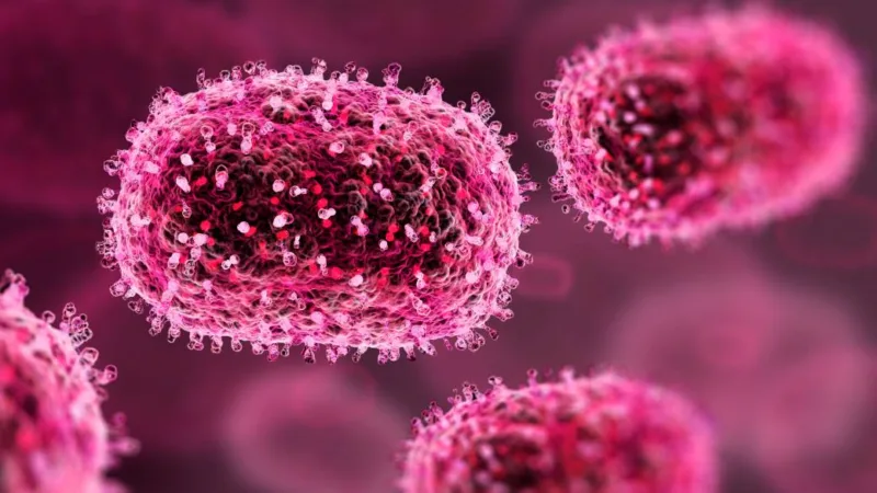 virus
