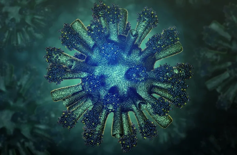 virus