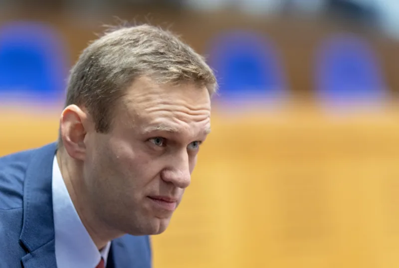 Hearing in the case of Navalnyy vs Russia at ECHR in Strasbourg