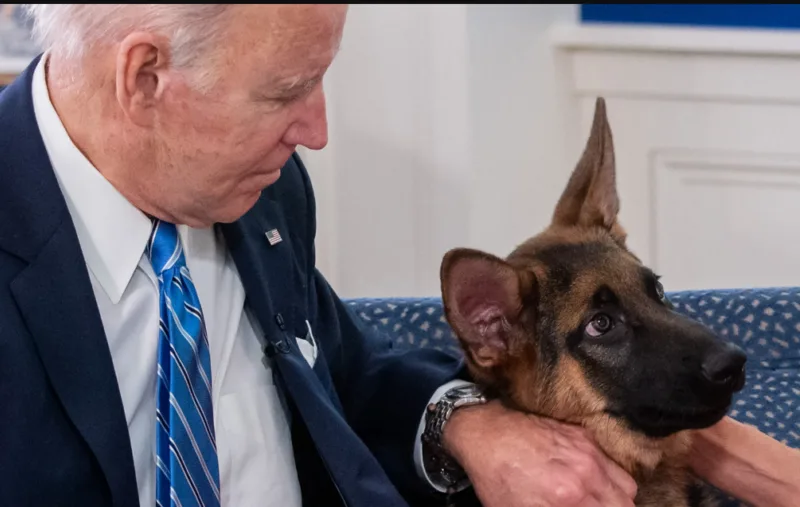biden pas 4