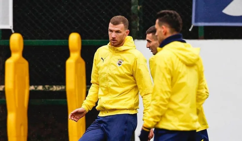 dzeko