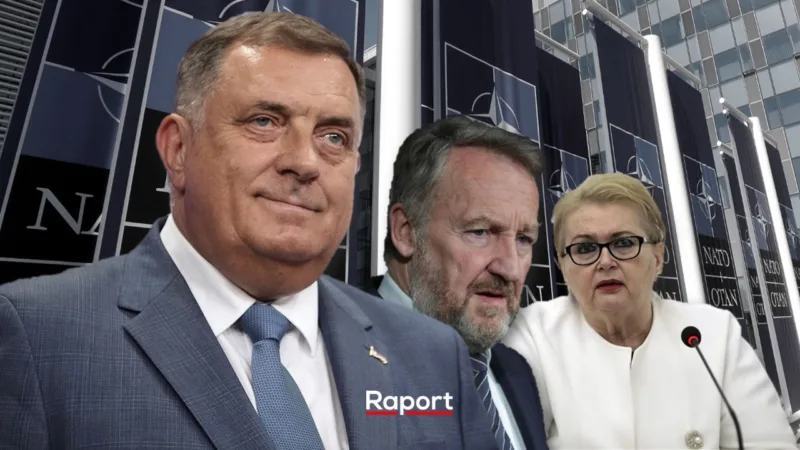 nato dodik bisera bakir
