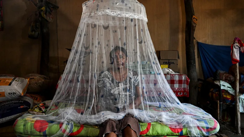 denga groznica peru