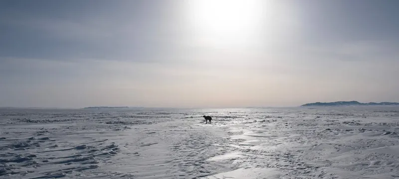 mongolija