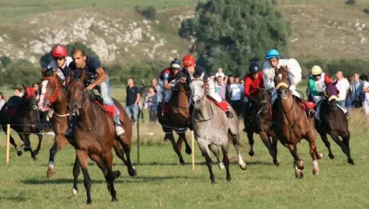 NEVESINJSKA OLIMPIJADA
