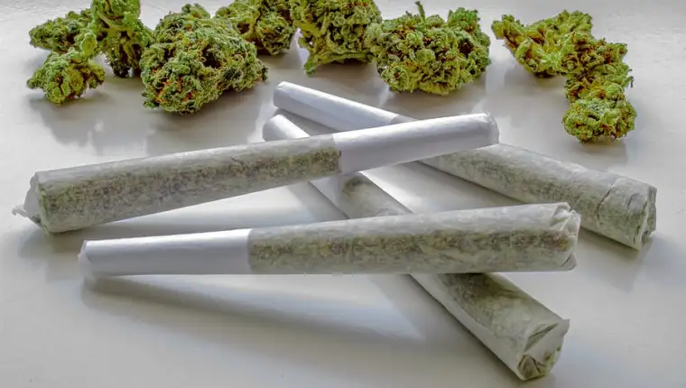 Roll-a-Joint-Like-the-Experts