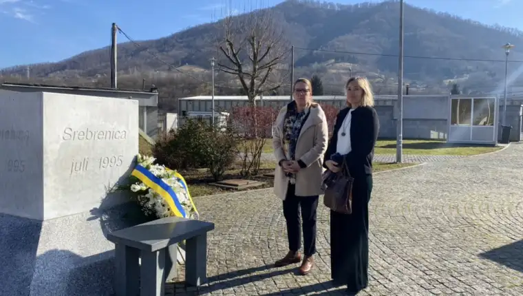 ambasadorica svedske