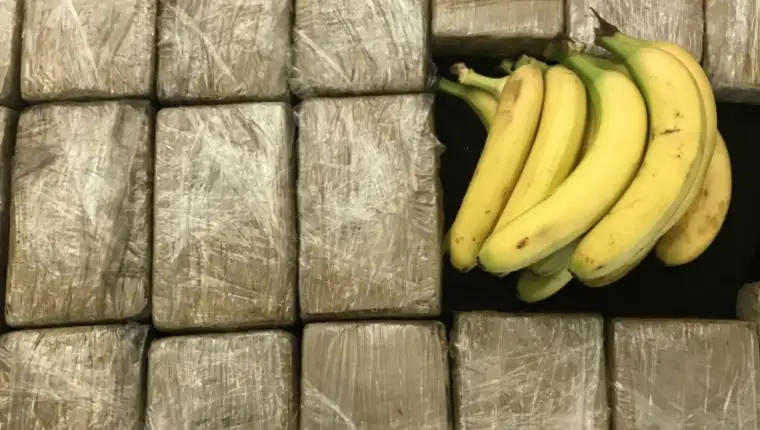 kokain u bananama