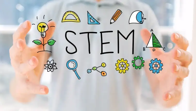 stem