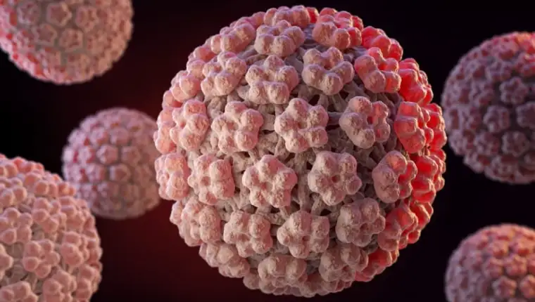 hpv virus
