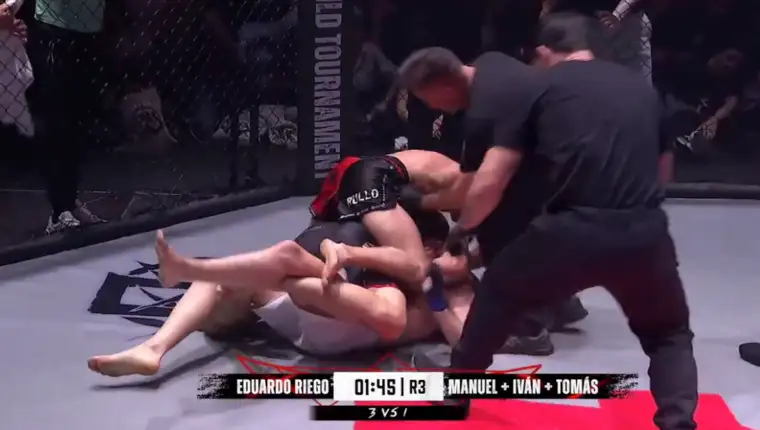 borba mma