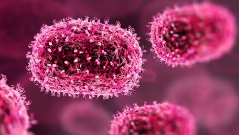 virus