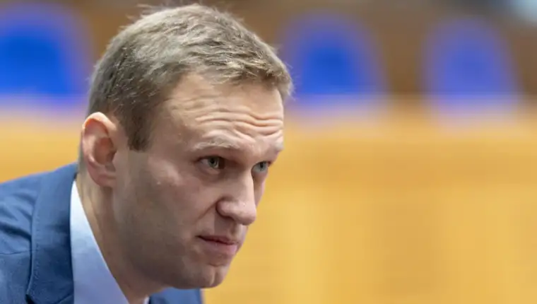 Hearing in the case of Navalnyy vs Russia at ECHR in Strasbourg