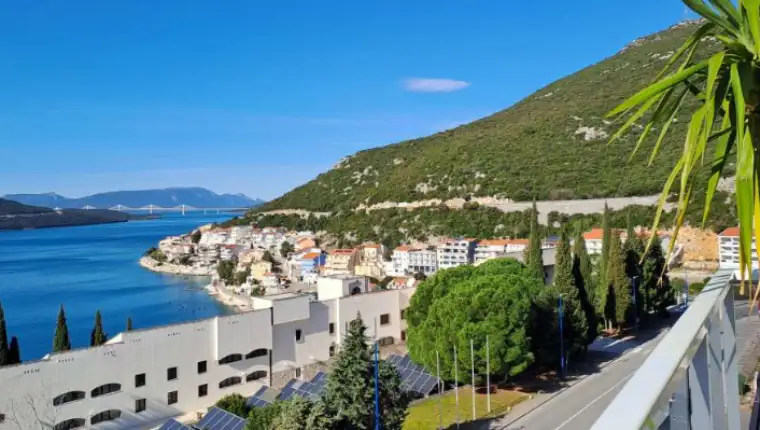 neum 4
