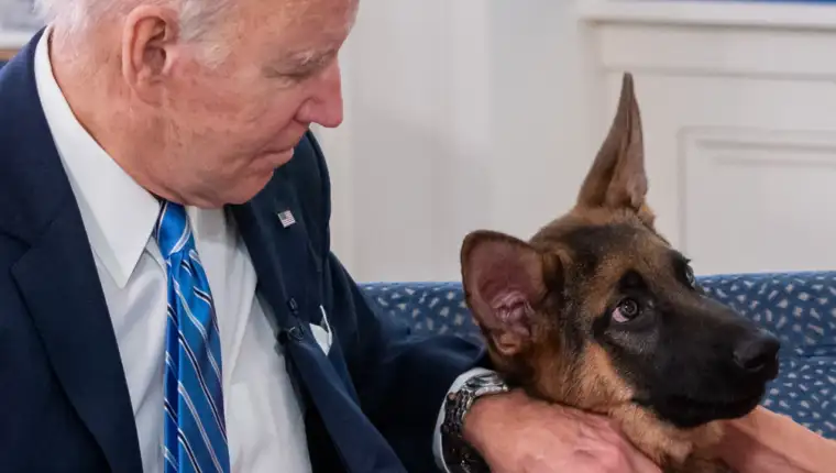 biden pas 4