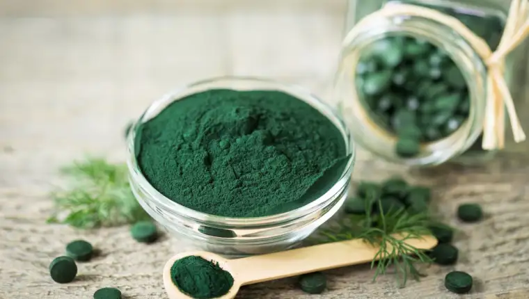 spirulina alga
