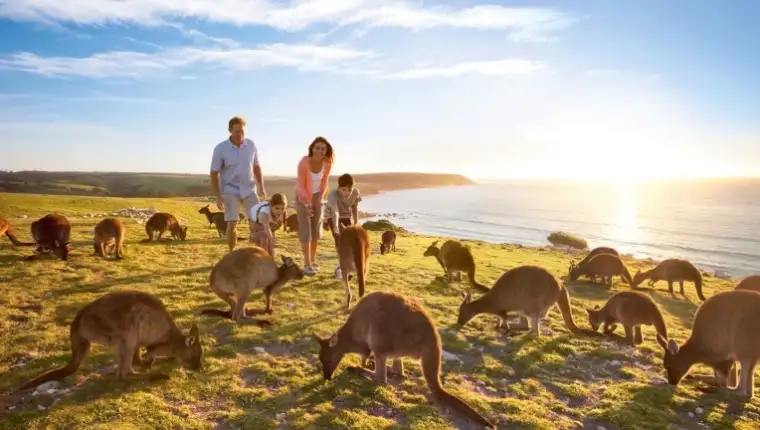 kangaroo-Island