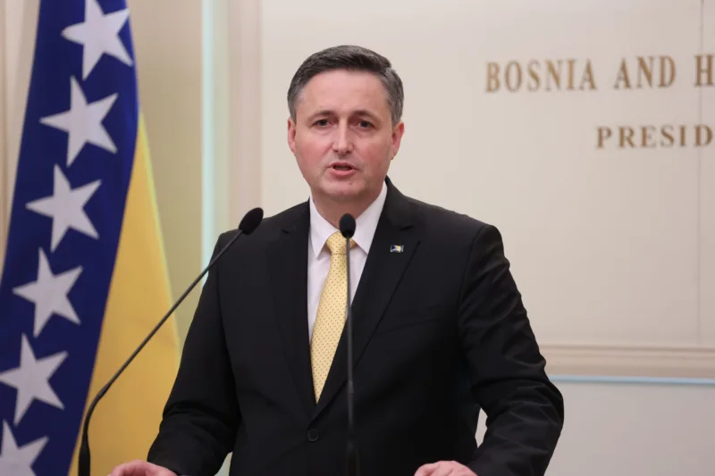 denis becirovic fena