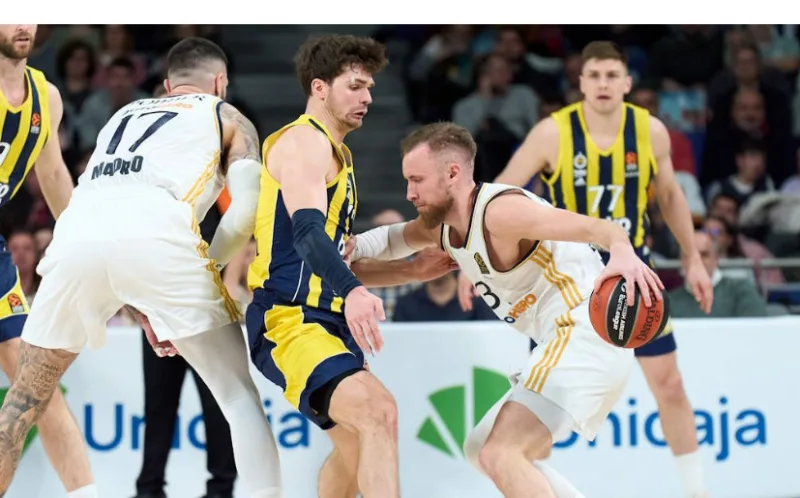 musa biberovic 1