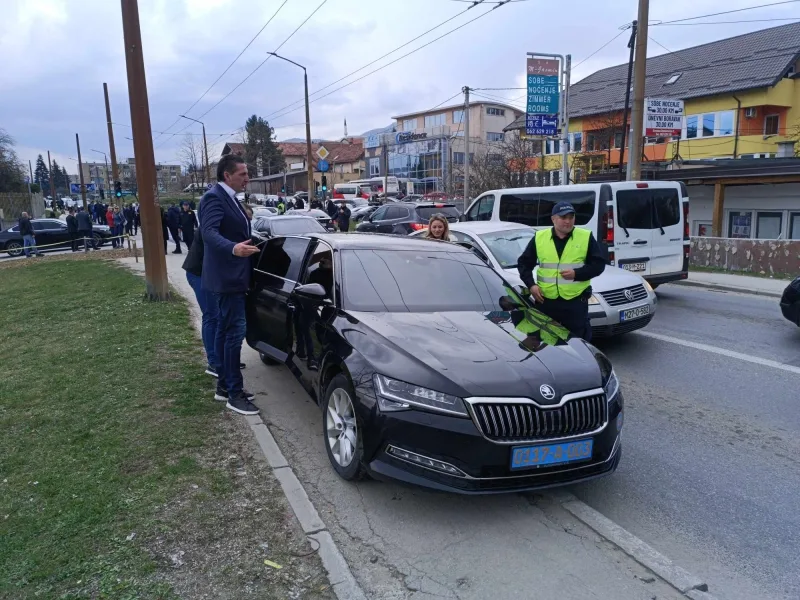 nedeljko elek sud bih