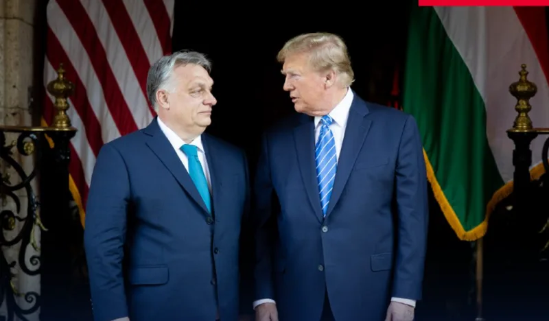 trzmp orban 1