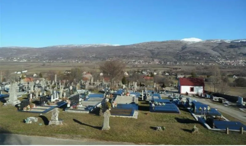 livno 4
