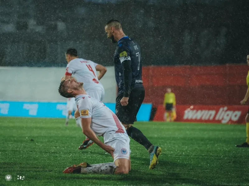 zrinjskiželjo