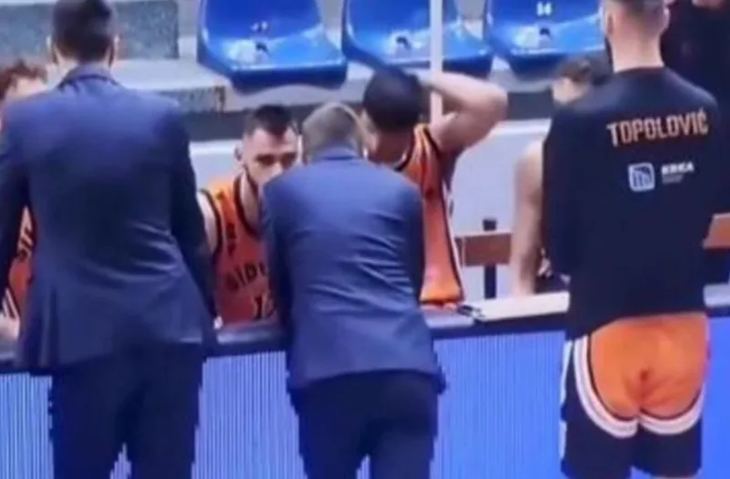 pandza