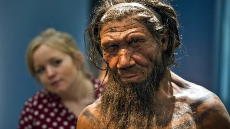 neanderthals_dna