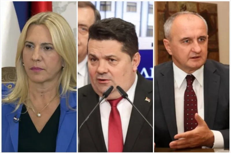 zeljak stevandic djokic