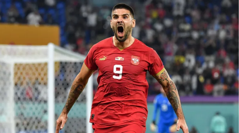 aleksandar mitrovic