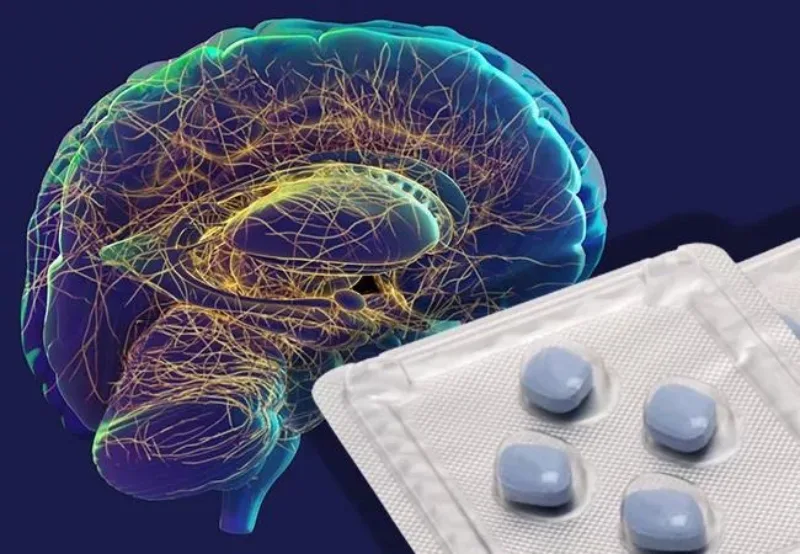 viagra uticaj na mozak