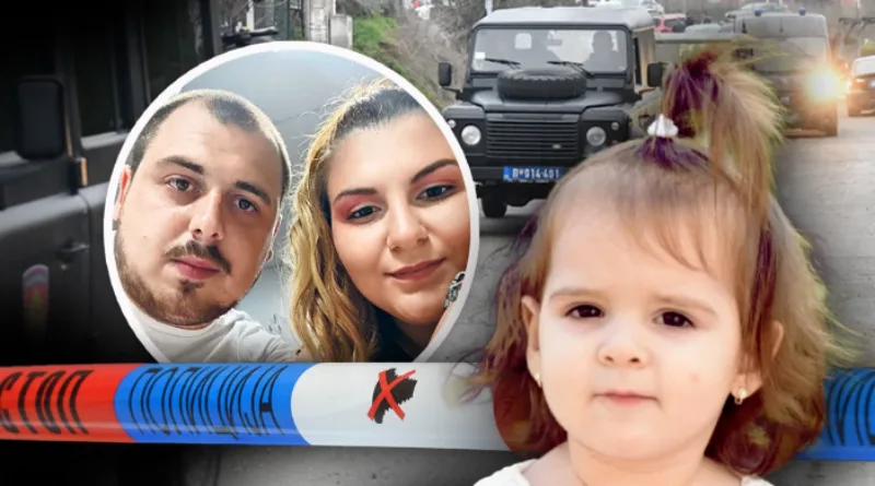 danka-ilic
