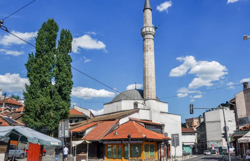 cekrekcijina