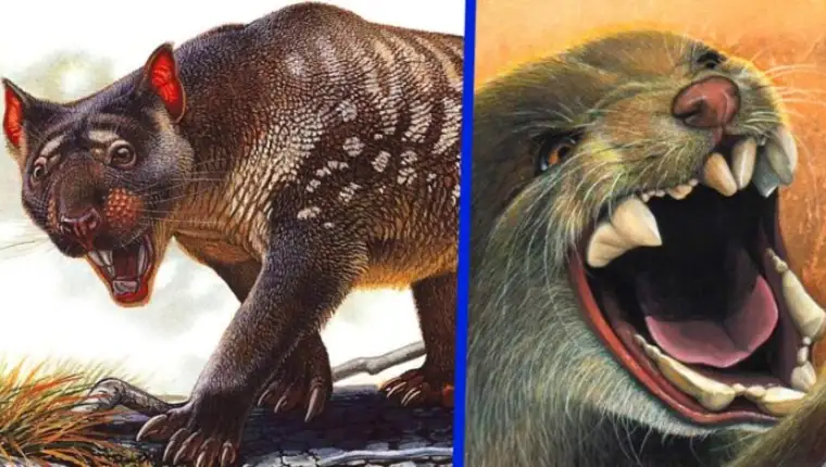 Thylacoleo-carnifex-696x392