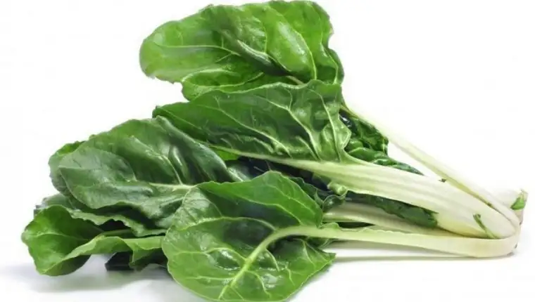 BLITVA