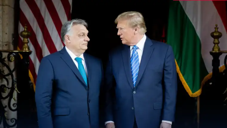 trzmp orban 1