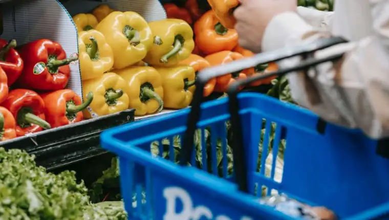 korpa 4