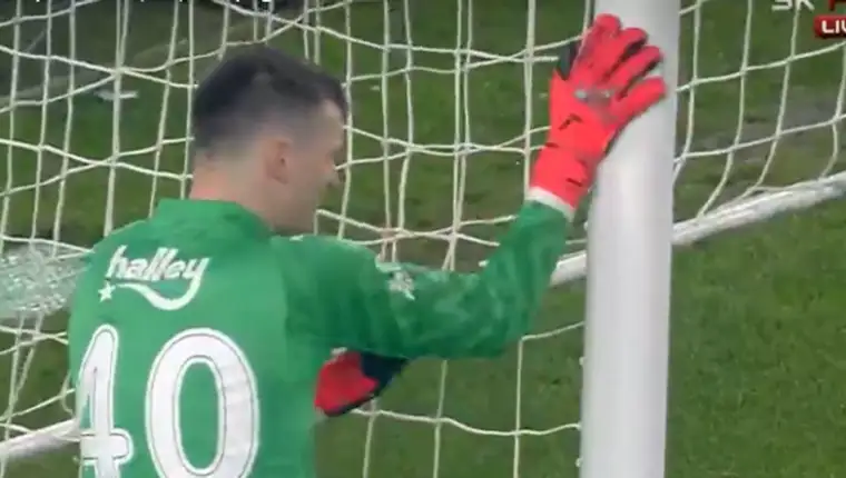 livakovic