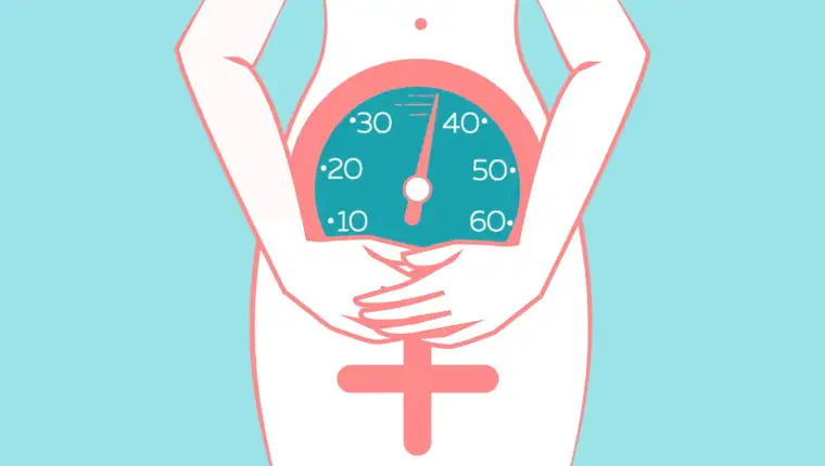 menopauza